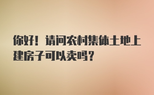 你好！请问农村集体土地上建房子可以卖吗？