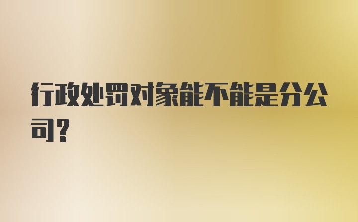 行政处罚对象能不能是分公司？