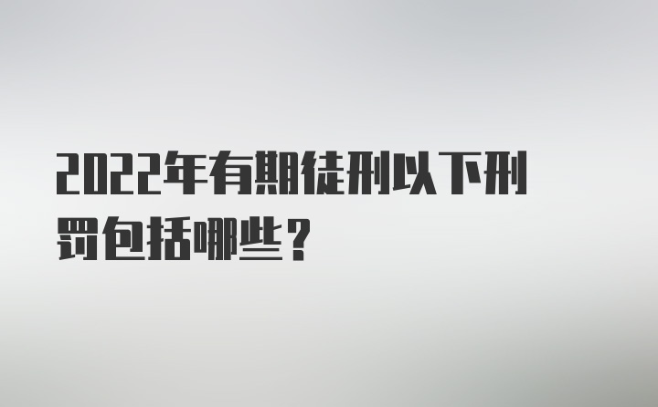 2022年有期徒刑以下刑罚包括哪些？