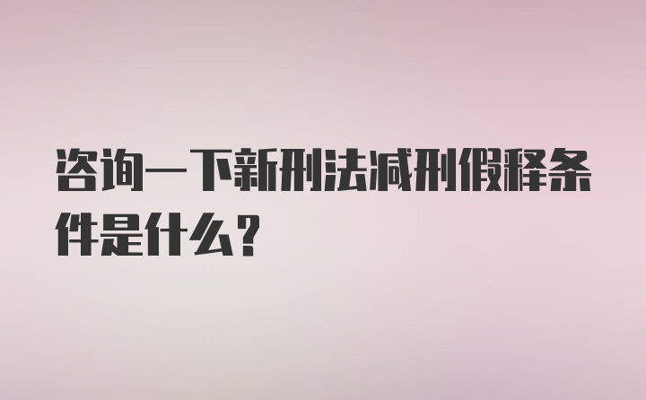 咨询一下新刑法减刑假释条件是什么？