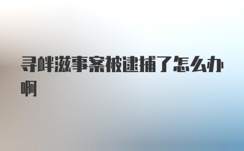 寻衅滋事案被逮捕了怎么办啊