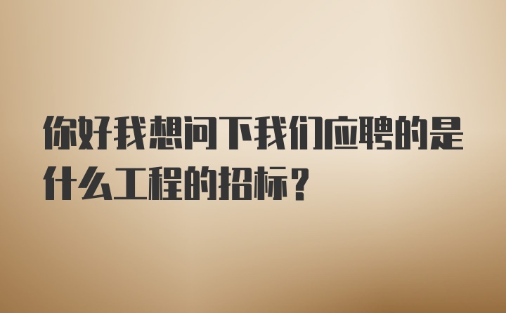 你好我想问下我们应聘的是什么工程的招标？