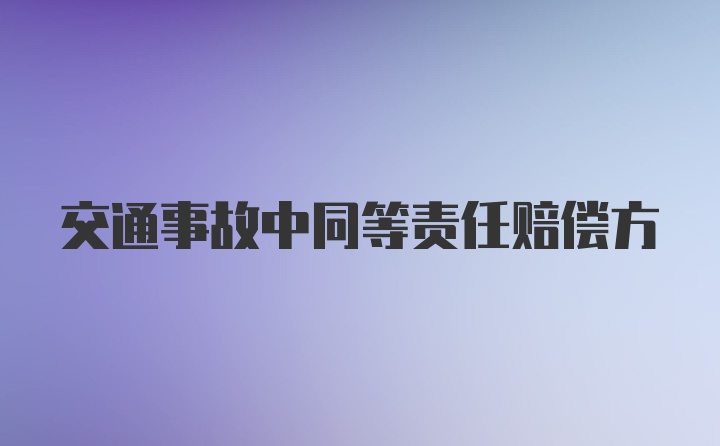 交通事故中同等责任赔偿方