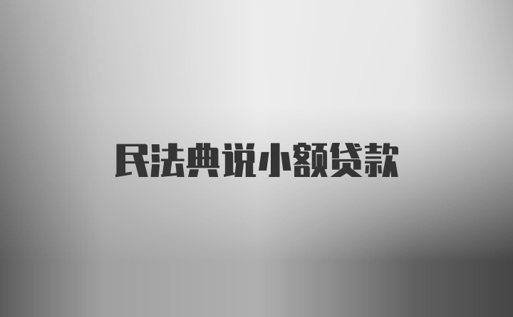 民法典说小额贷款