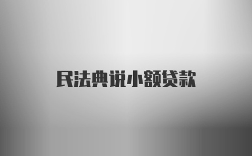 民法典说小额贷款