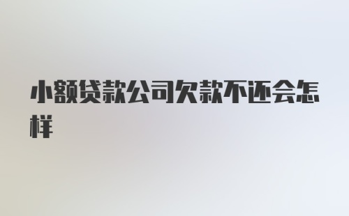 小额贷款公司欠款不还会怎样