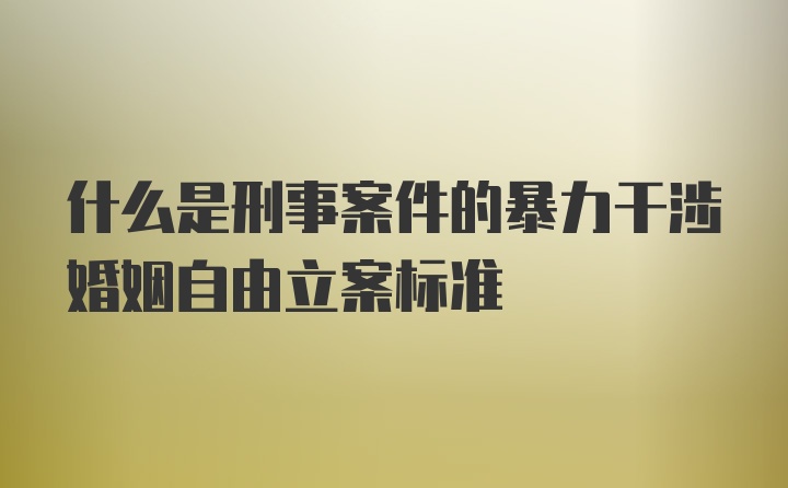 什么是刑事案件的暴力干涉婚姻自由立案标准