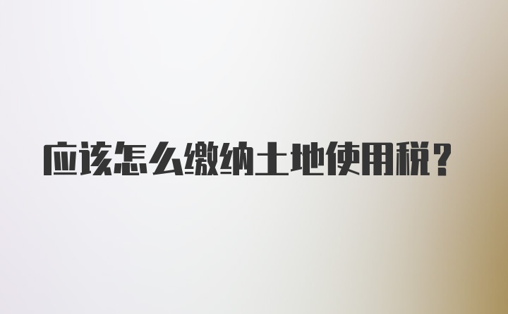 应该怎么缴纳土地使用税？