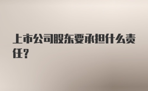 上市公司股东要承担什么责任？