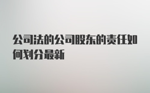 公司法的公司股东的责任如何划分最新