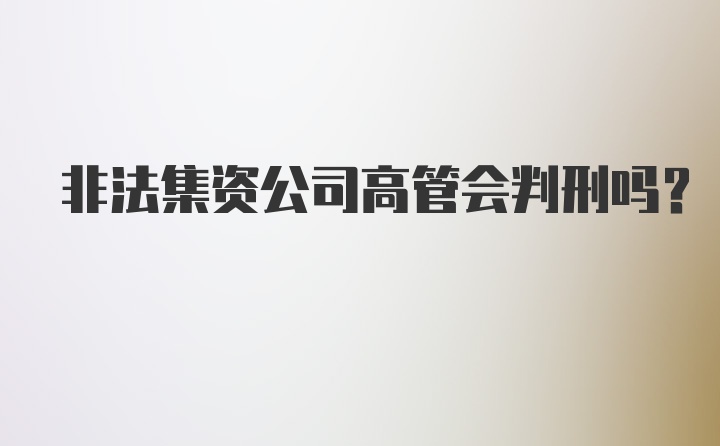 非法集资公司高管会判刑吗？