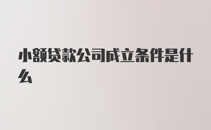 小额贷款公司成立条件是什么