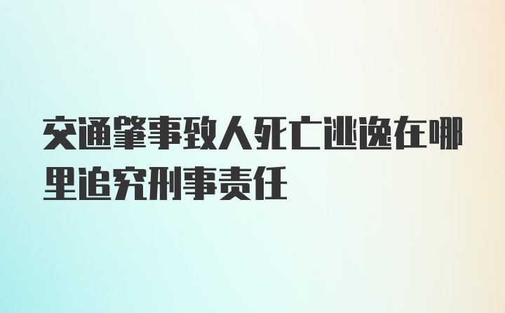 交通肇事致人死亡逃逸在哪里追究刑事责任