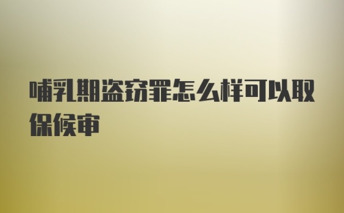 哺乳期盗窃罪怎么样可以取保候审