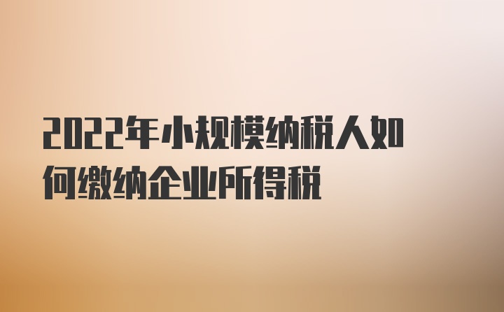 2022年小规模纳税人如何缴纳企业所得税