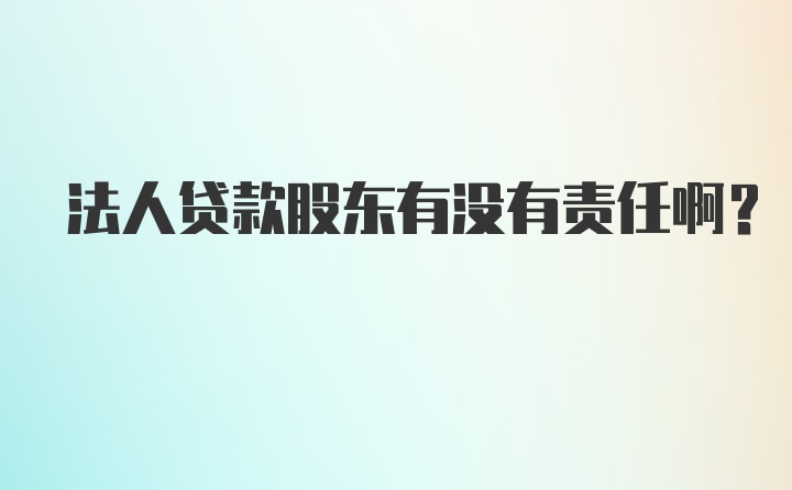 法人贷款股东有没有责任啊？