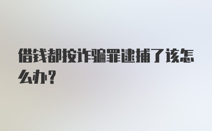 借钱都按诈骗罪逮捕了该怎么办？