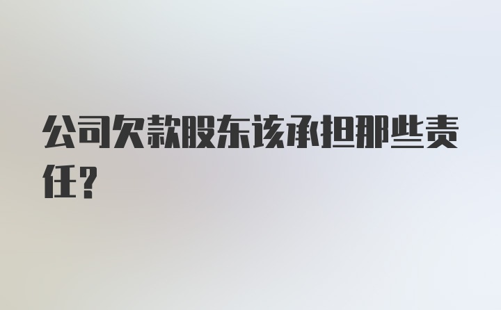 公司欠款股东该承担那些责任？