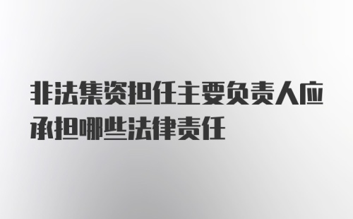 非法集资担任主要负责人应承担哪些法律责任