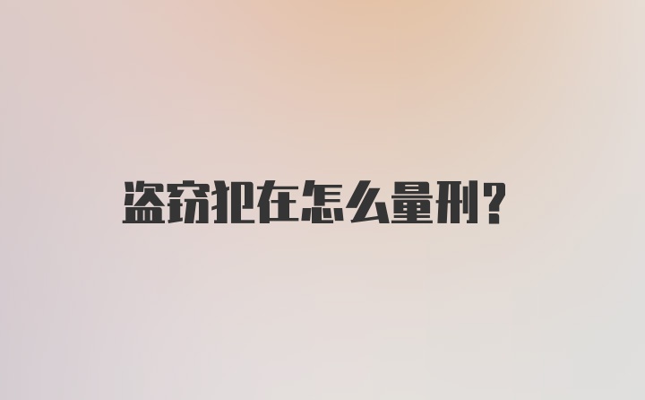 盗窃犯在怎么量刑？