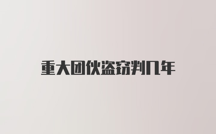 重大团伙盗窃判几年