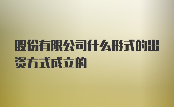 股份有限公司什么形式的出资方式成立的