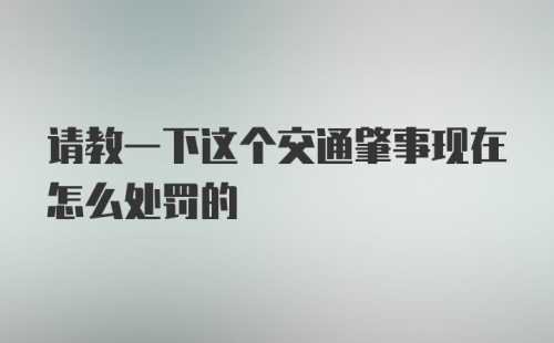 请教一下这个交通肇事现在怎么处罚的