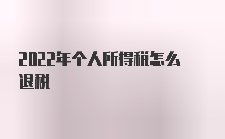 2022年个人所得税怎么退税