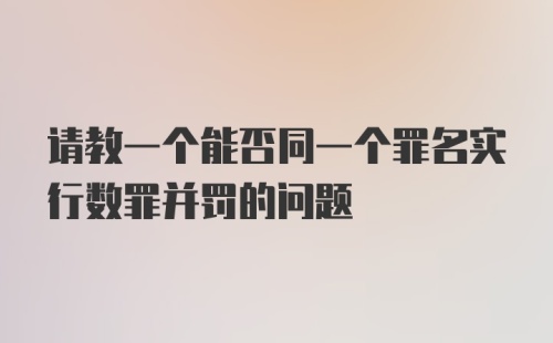 请教一个能否同一个罪名实行数罪并罚的问题