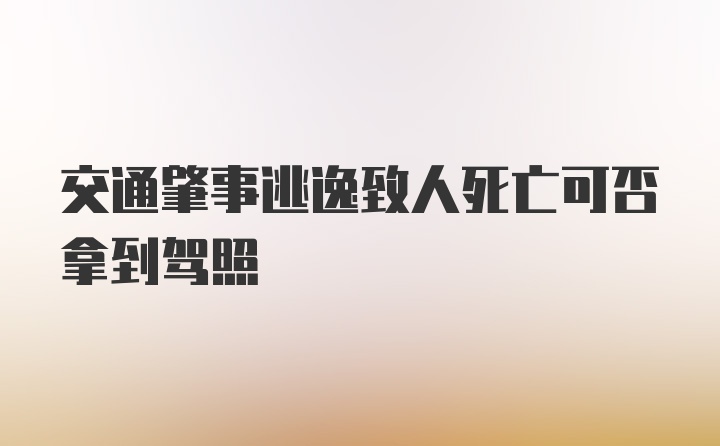 交通肇事逃逸致人死亡可否拿到驾照