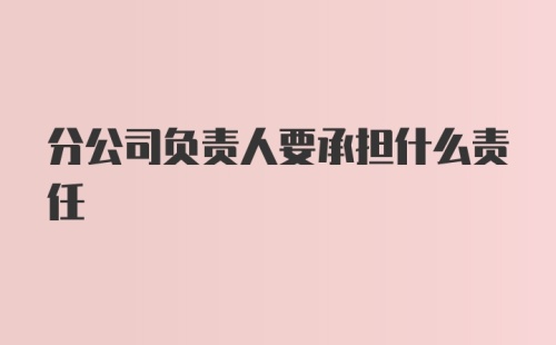 分公司负责人要承担什么责任