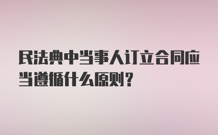 民法典中当事人订立合同应当遵循什么原则?