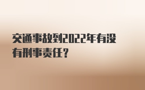 交通事故到2022年有没有刑事责任？