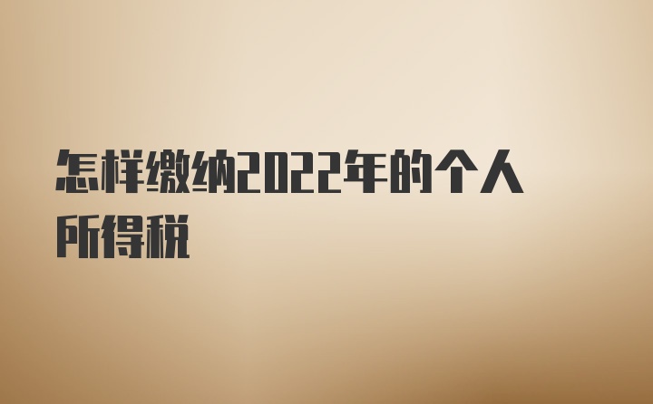 怎样缴纳2022年的个人所得税