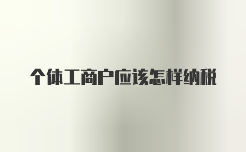 个体工商户应该怎样纳税