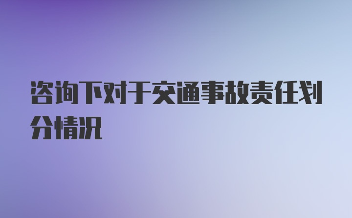 咨询下对于交通事故责任划分情况