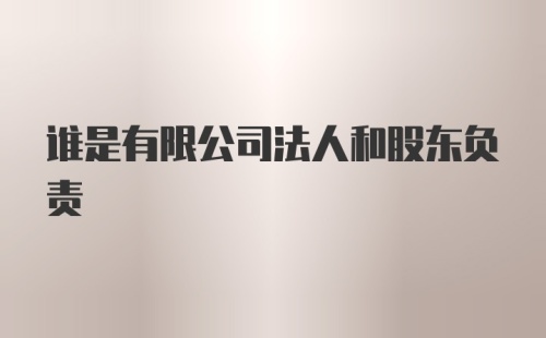 谁是有限公司法人和股东负责