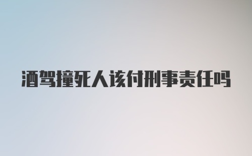 酒驾撞死人该付刑事责任吗