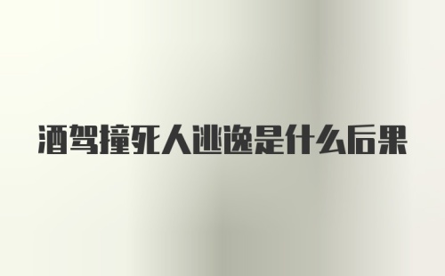 酒驾撞死人逃逸是什么后果