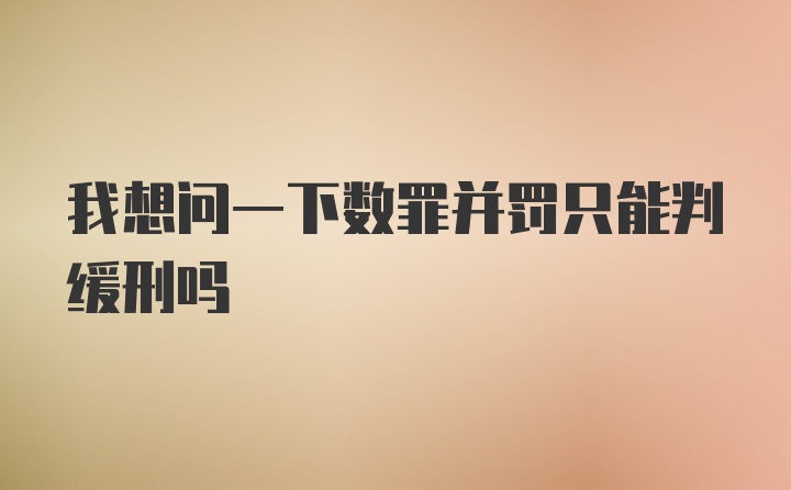 我想问一下数罪并罚只能判缓刑吗