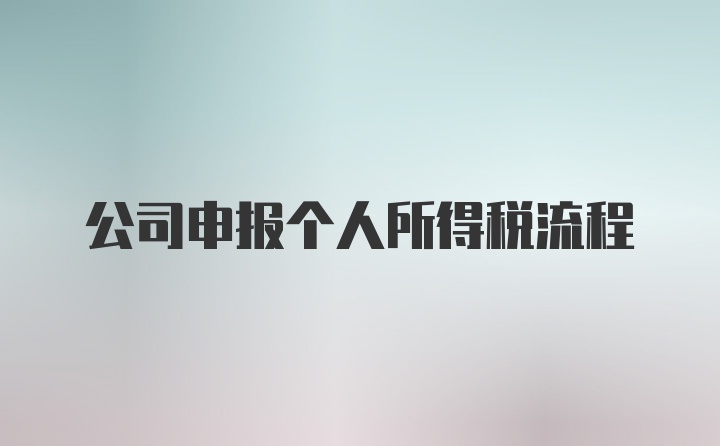 公司申报个人所得税流程