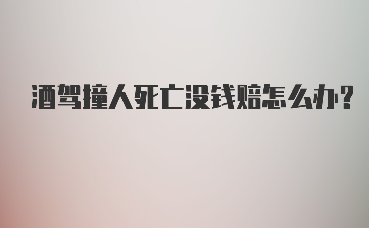 酒驾撞人死亡没钱赔怎么办?