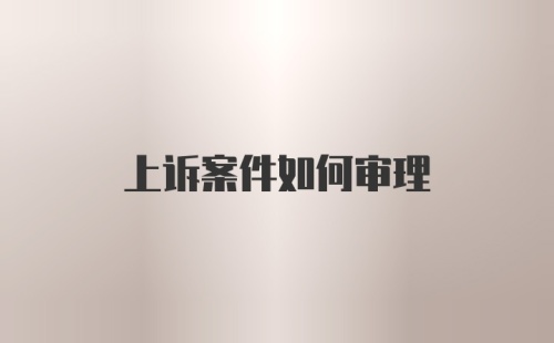 上诉案件如何审理