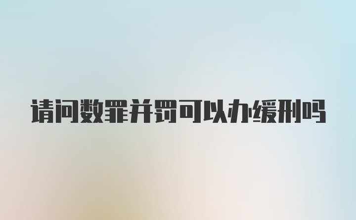 请问数罪并罚可以办缓刑吗