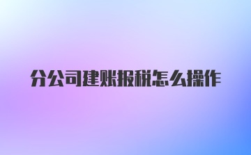 分公司建账报税怎么操作