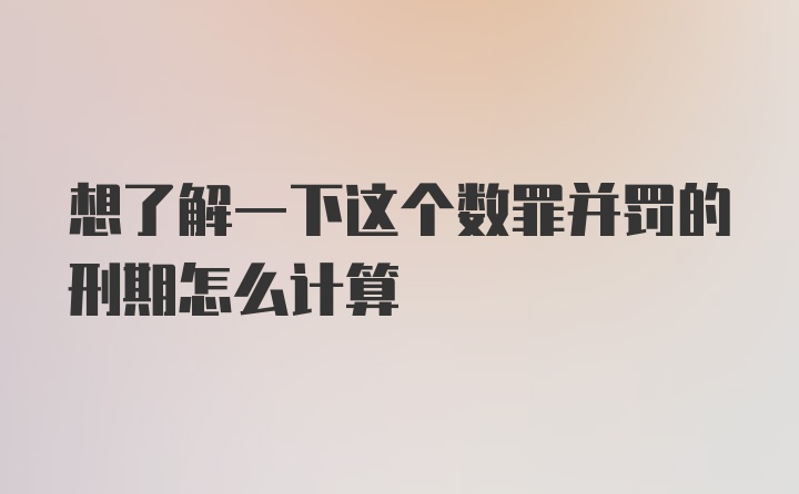 想了解一下这个数罪并罚的刑期怎么计算