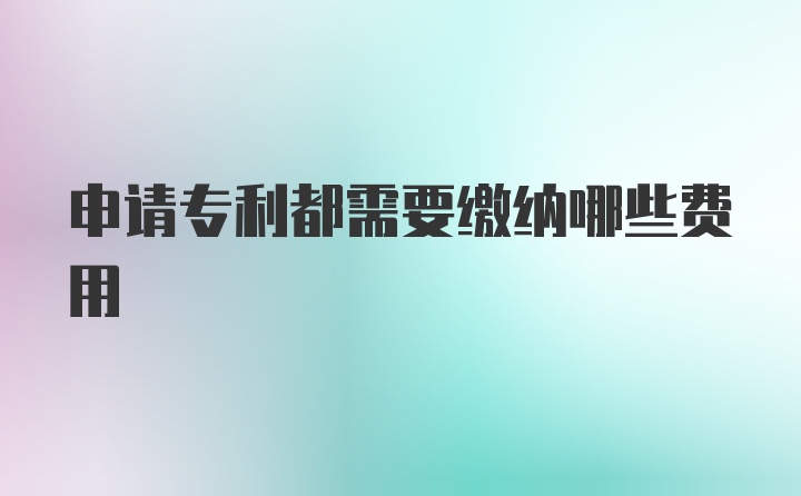 申请专利都需要缴纳哪些费用