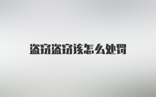 盗窃盗窃该怎么处罚