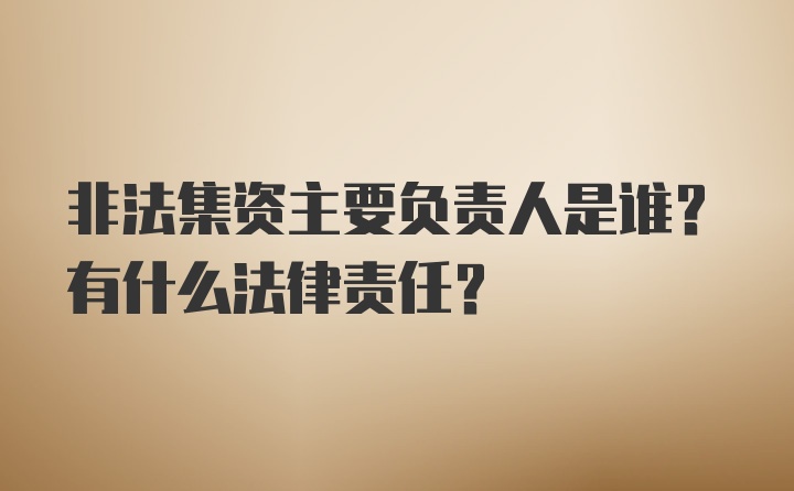 非法集资主要负责人是谁？有什么法律责任？