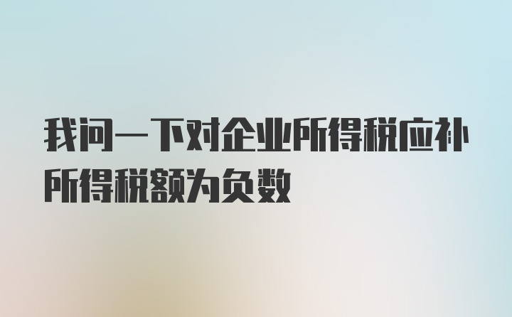 我问一下对企业所得税应补所得税额为负数